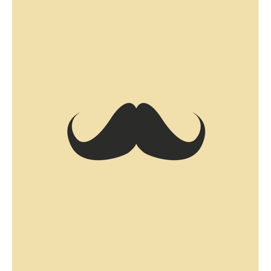 MAG - Chaussettes - Moustaches 41 - 46 - Socks Lab