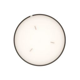 Bougie Astrologie Lion