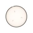 Bougie Astrologie Capricorne